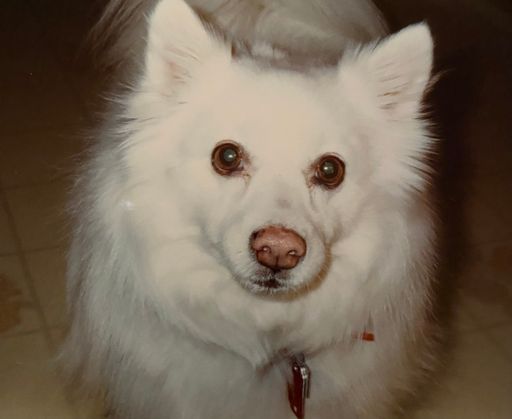 Sharon Ann Finch photo gallery thumbnail 55 of 109