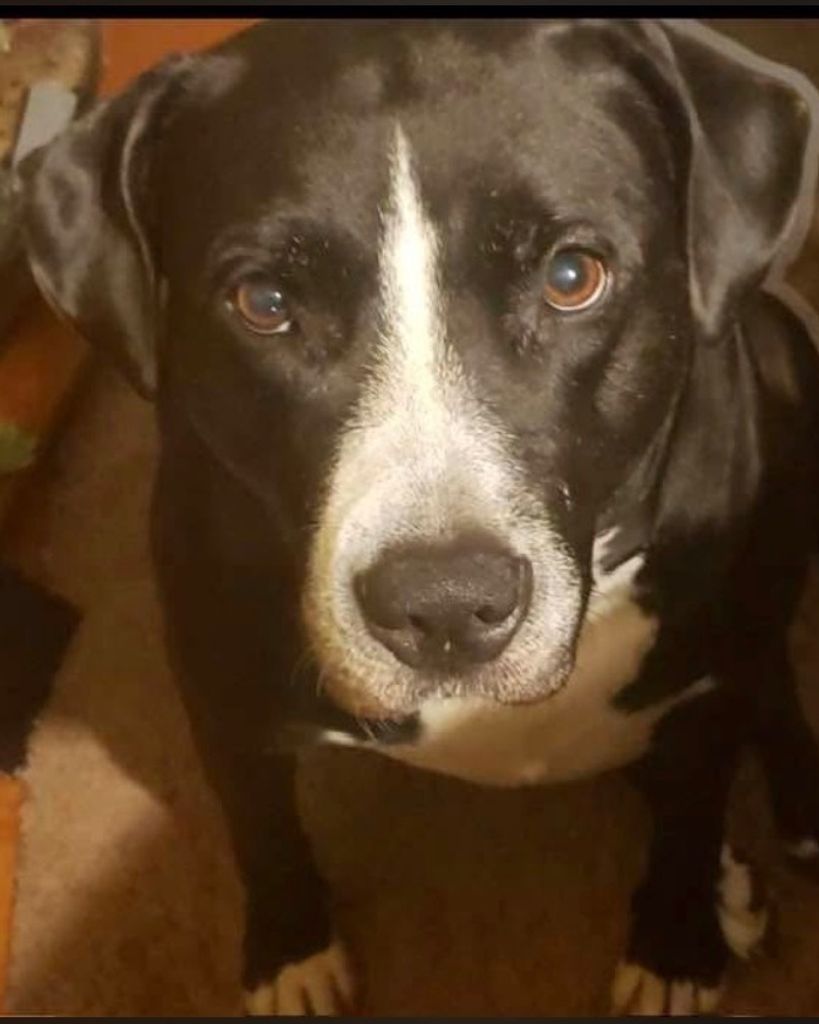 Sasha Cloud Profile Photo