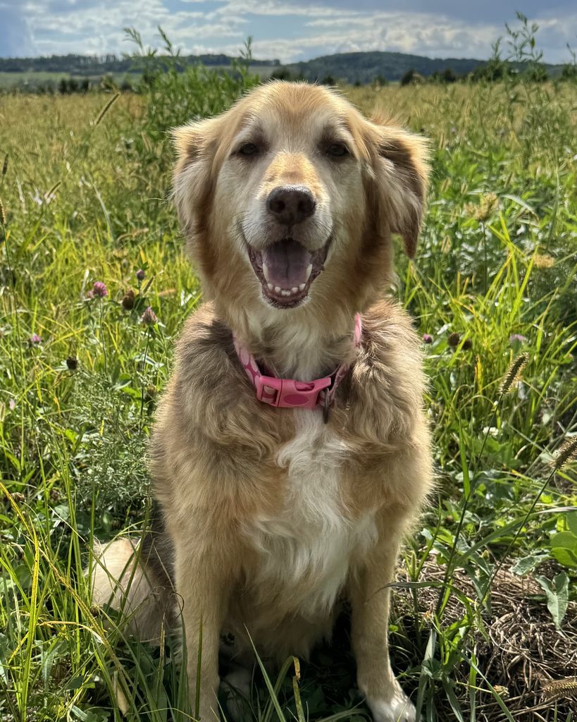 Maggie 'May' aka Maggs Profile Photo