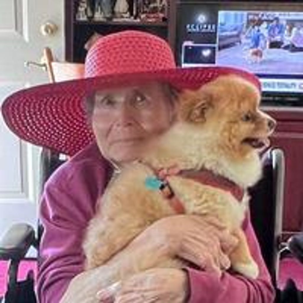 Dolores Williams Stewart