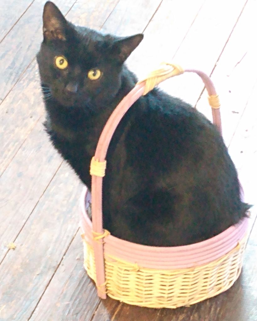 Mr. Popo Hudson Nicknames "Bubba, Sir Bub, Bubbies" Profile Photo
