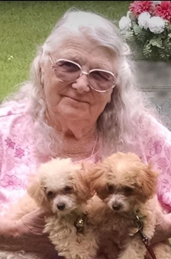 Linda Smith Profile Photo