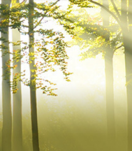 Raphael Rodriguez Torres Profile Photo