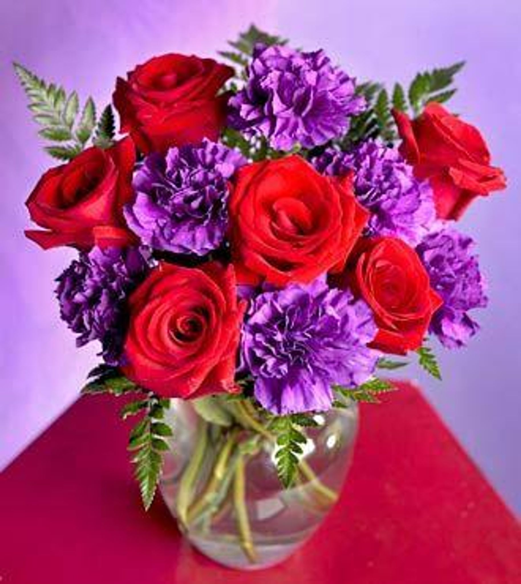 Cover for Carla Ann Combs's Obituary