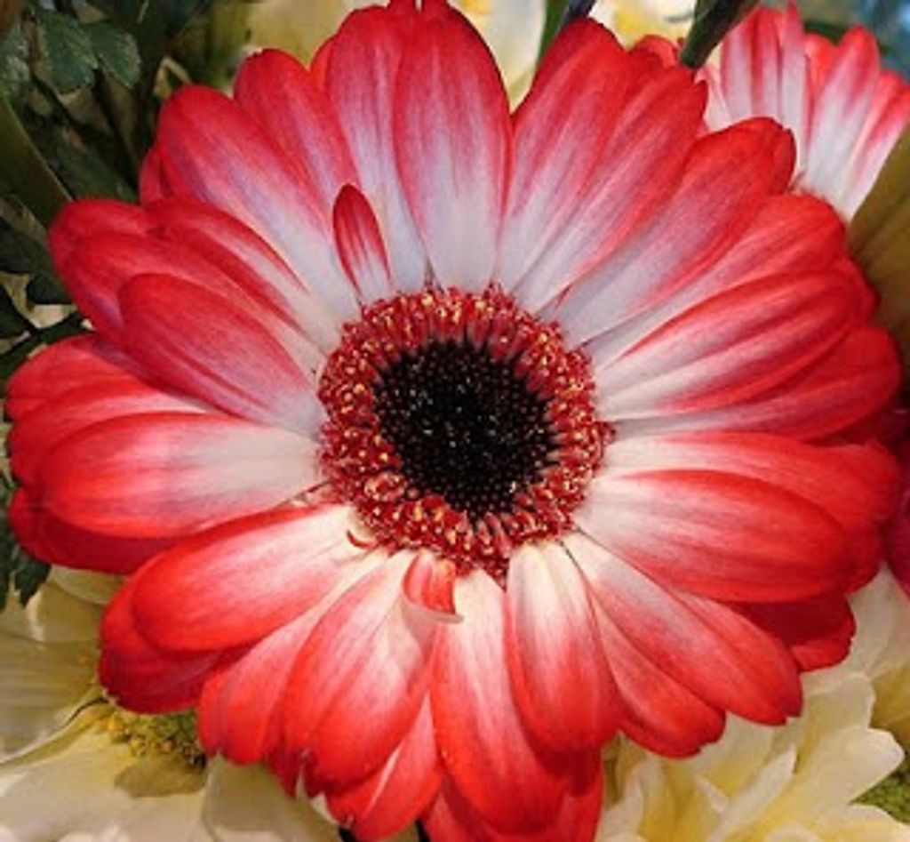 Velly Hetty Watung Profile Photo