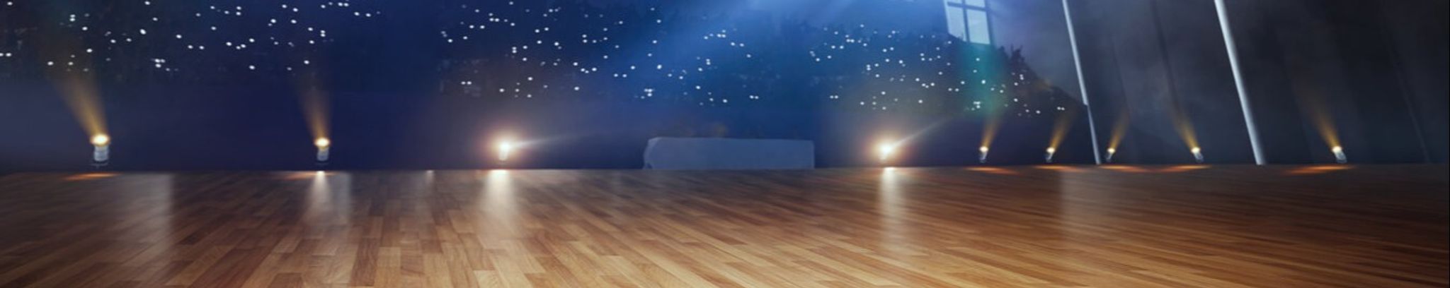 Cover for Linda Roxann Stanish's Obituary