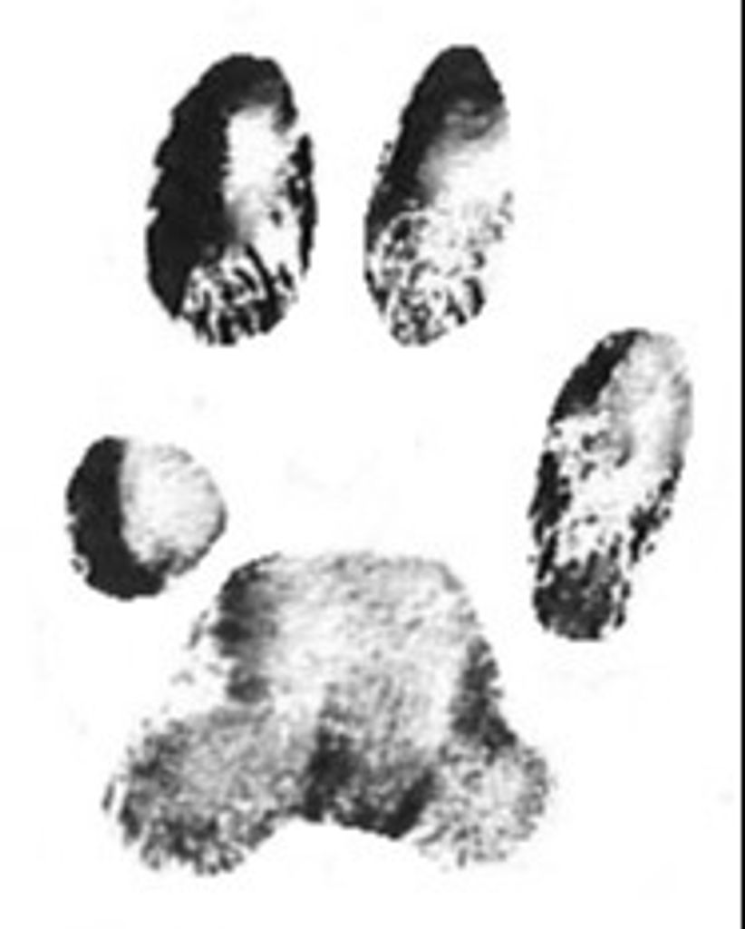 Thor Jackson Profile Photo