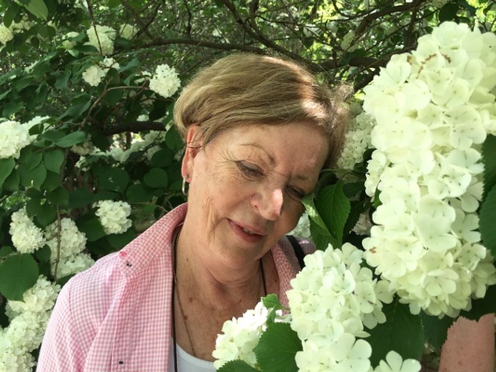 Aletta "Lida" Gertruida Mentz