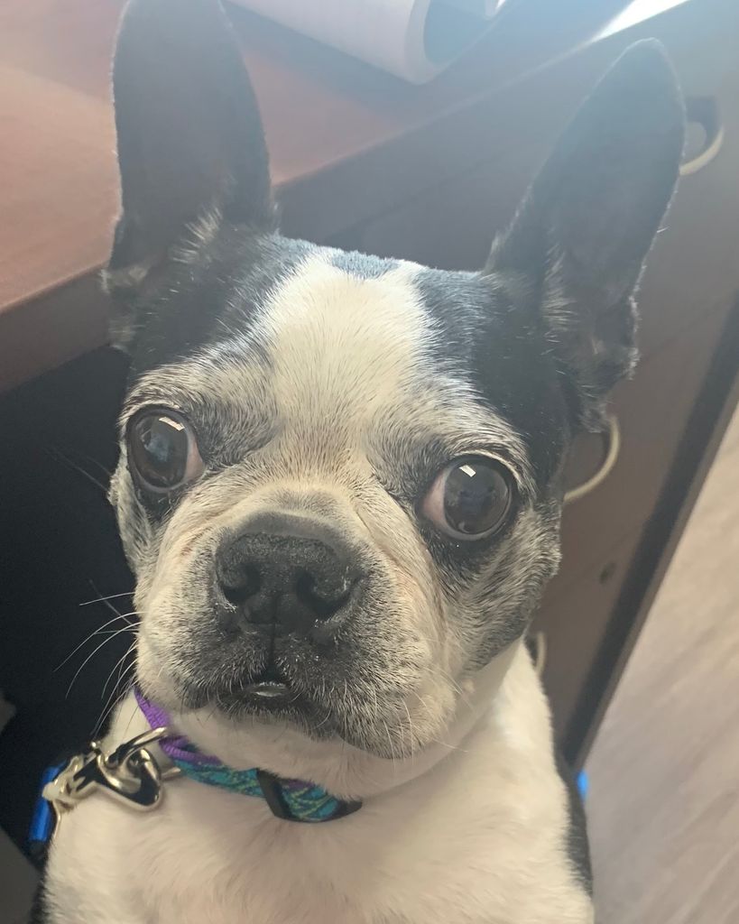 Paisley Pope Profile Photo