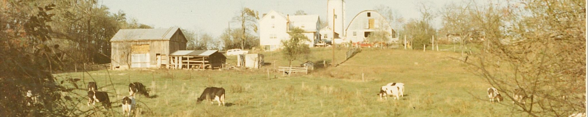 Cover photo for Mary Elizabeth Ambrose's Obituary