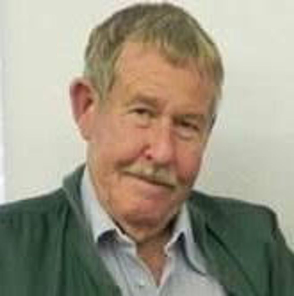 Albert Kingston