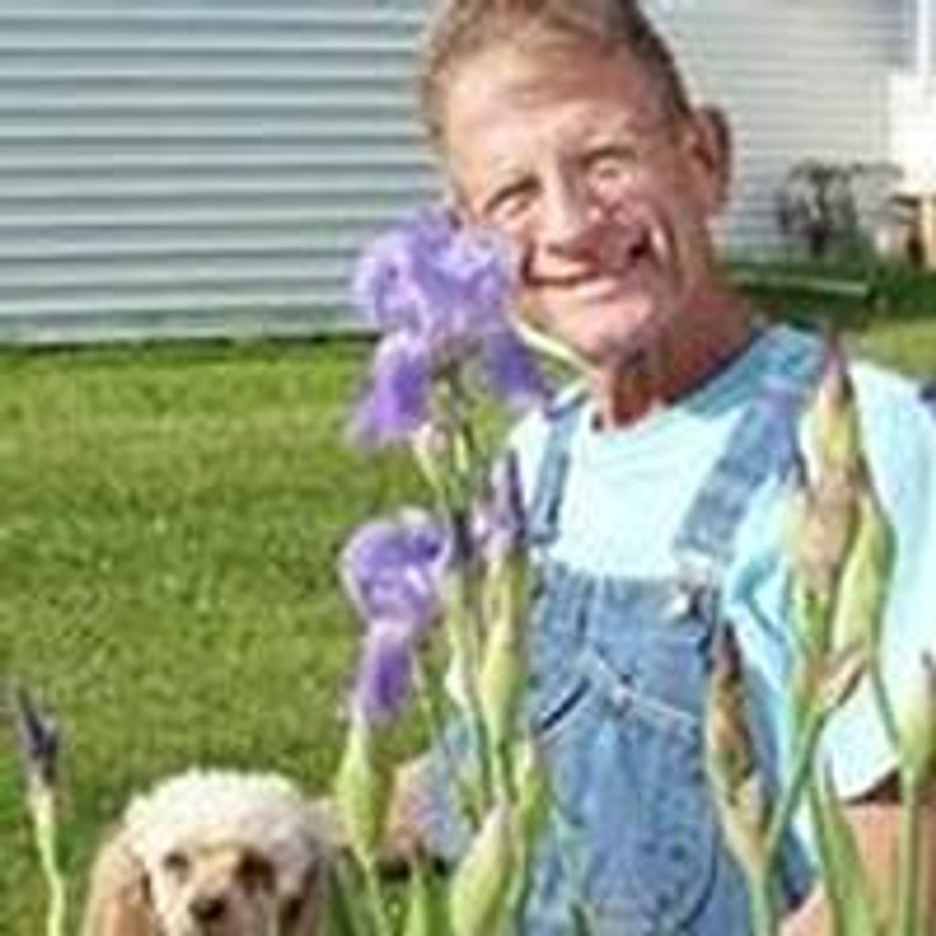 Lynn Soyer