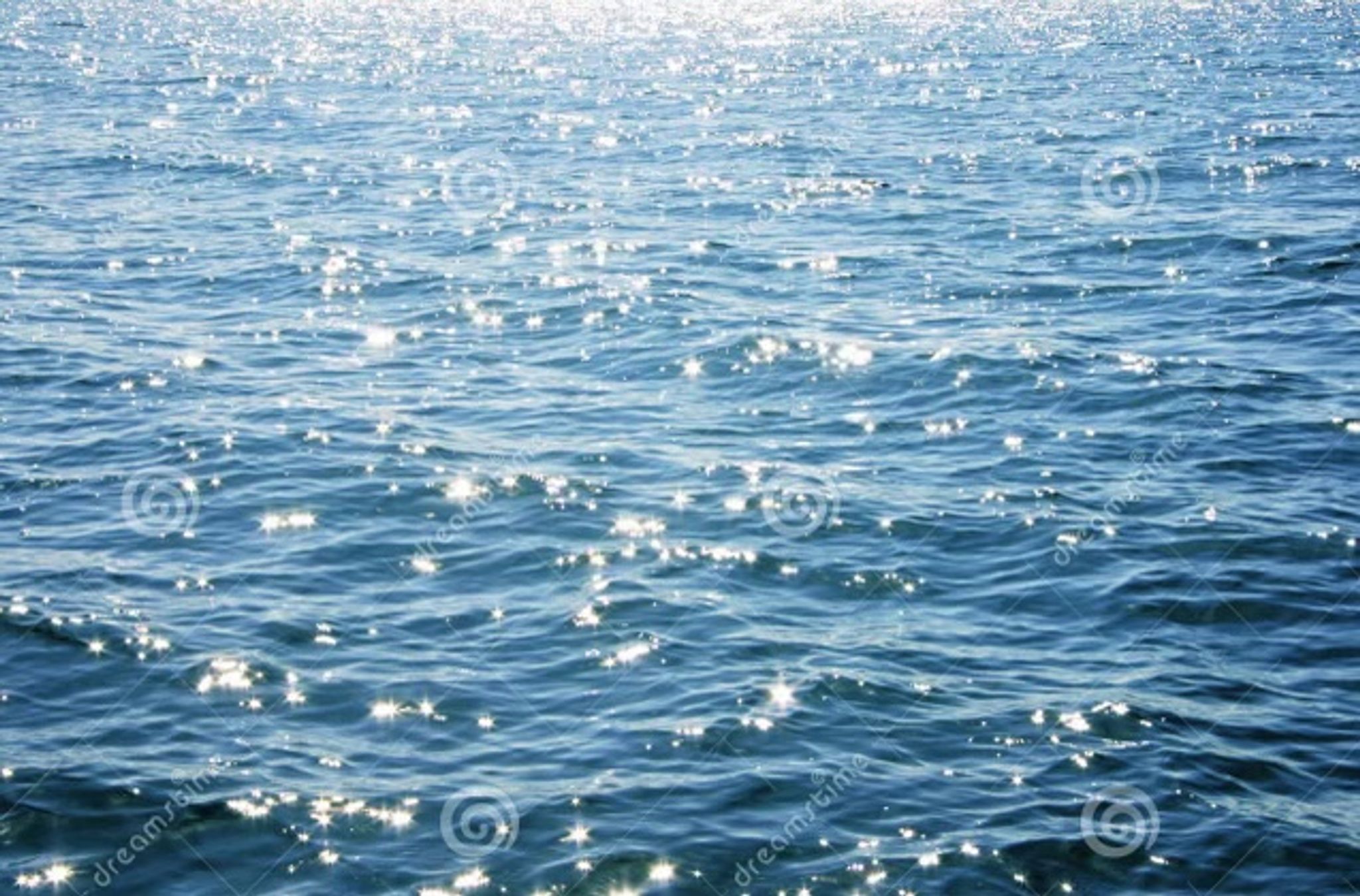 Cover photo for William Vincent Albrycht's Obituary