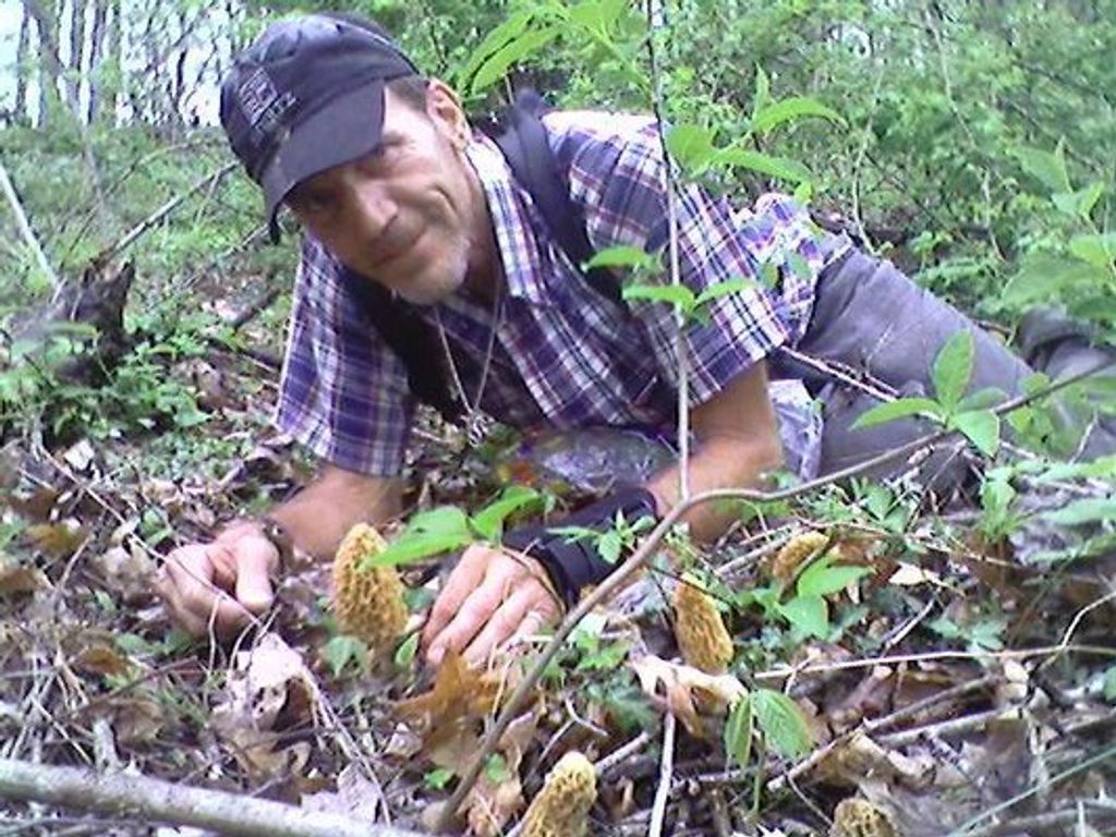 Donald Wolpe Profile Photo