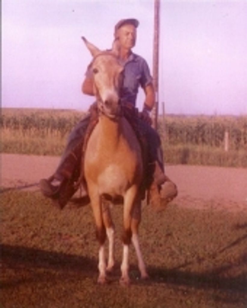 Charlie Davis Profile Photo