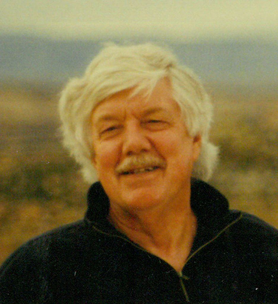 Dale A. Meldgaard