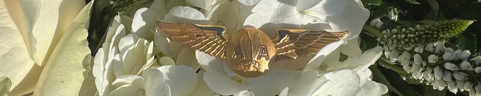 Cover photo for Beverly Jean Pitman's Obituary