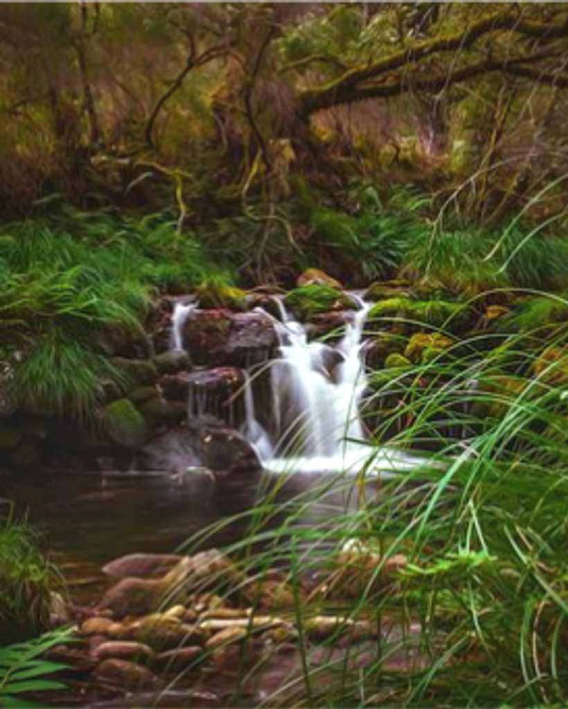 Walter "Wally" Henry Ehrhardt Profile Photo