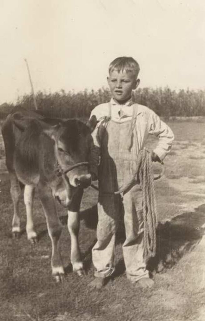 Mr. Clifton Howard Cartlidge