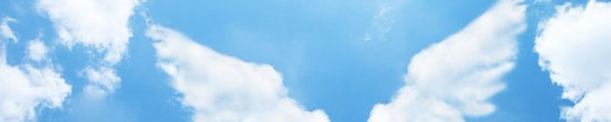 Cover for Gail Thomas's Obituary