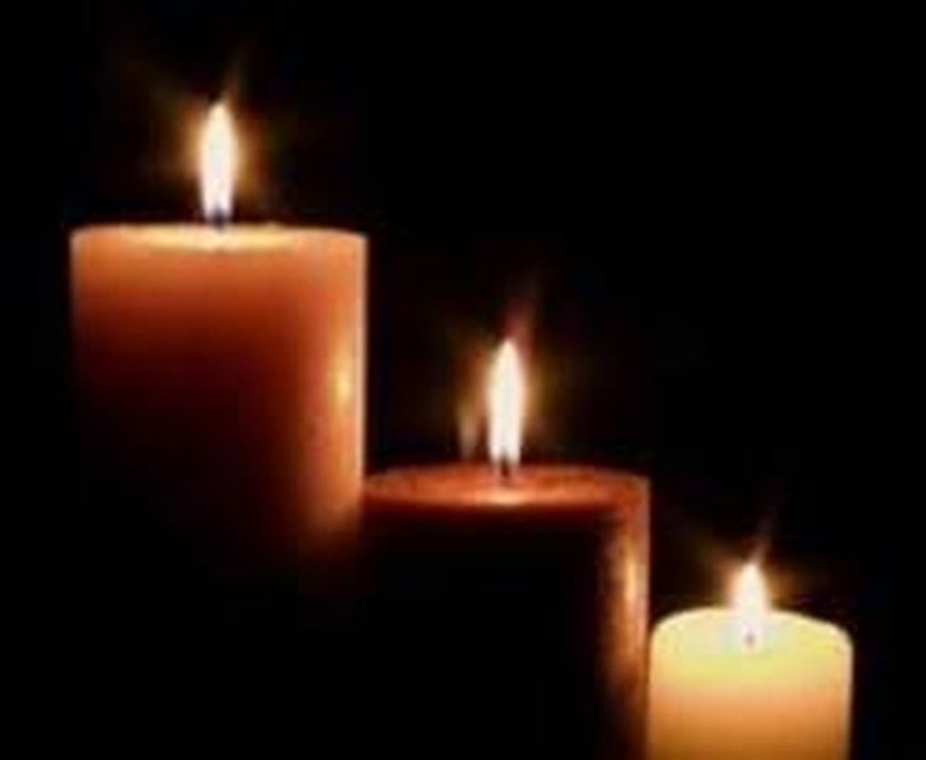 Randy Haley Profile Photo