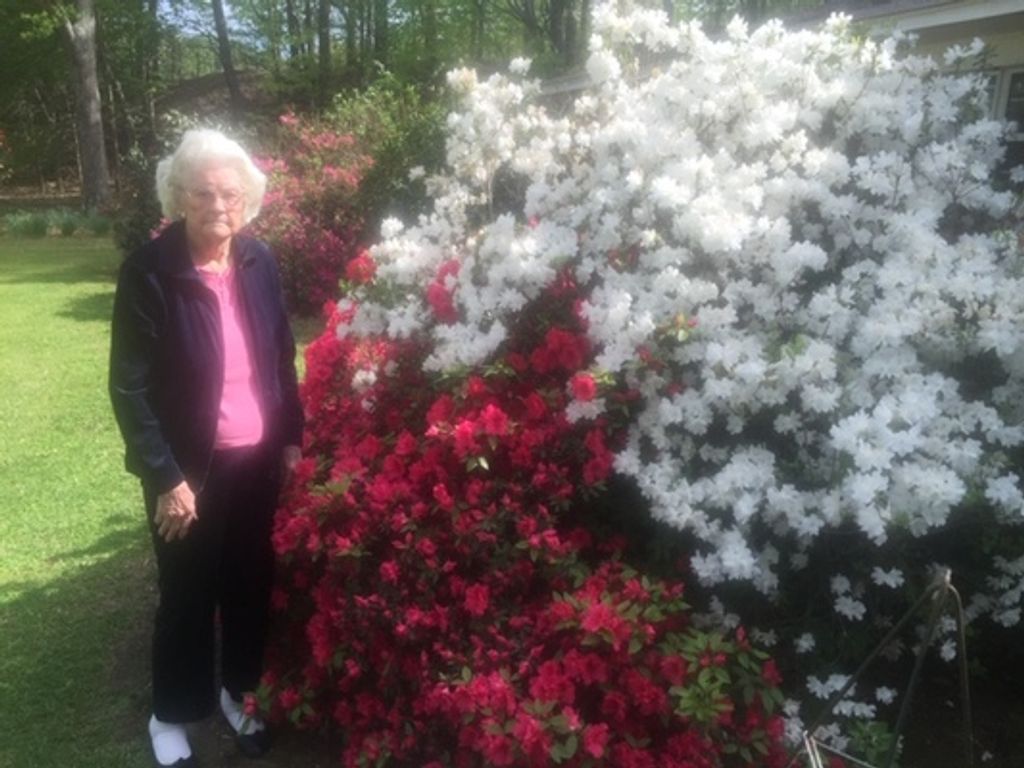 Dessie Mae Dunn Profile Photo