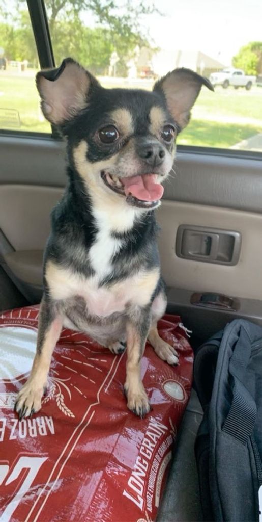 Sweetie Profile Photo