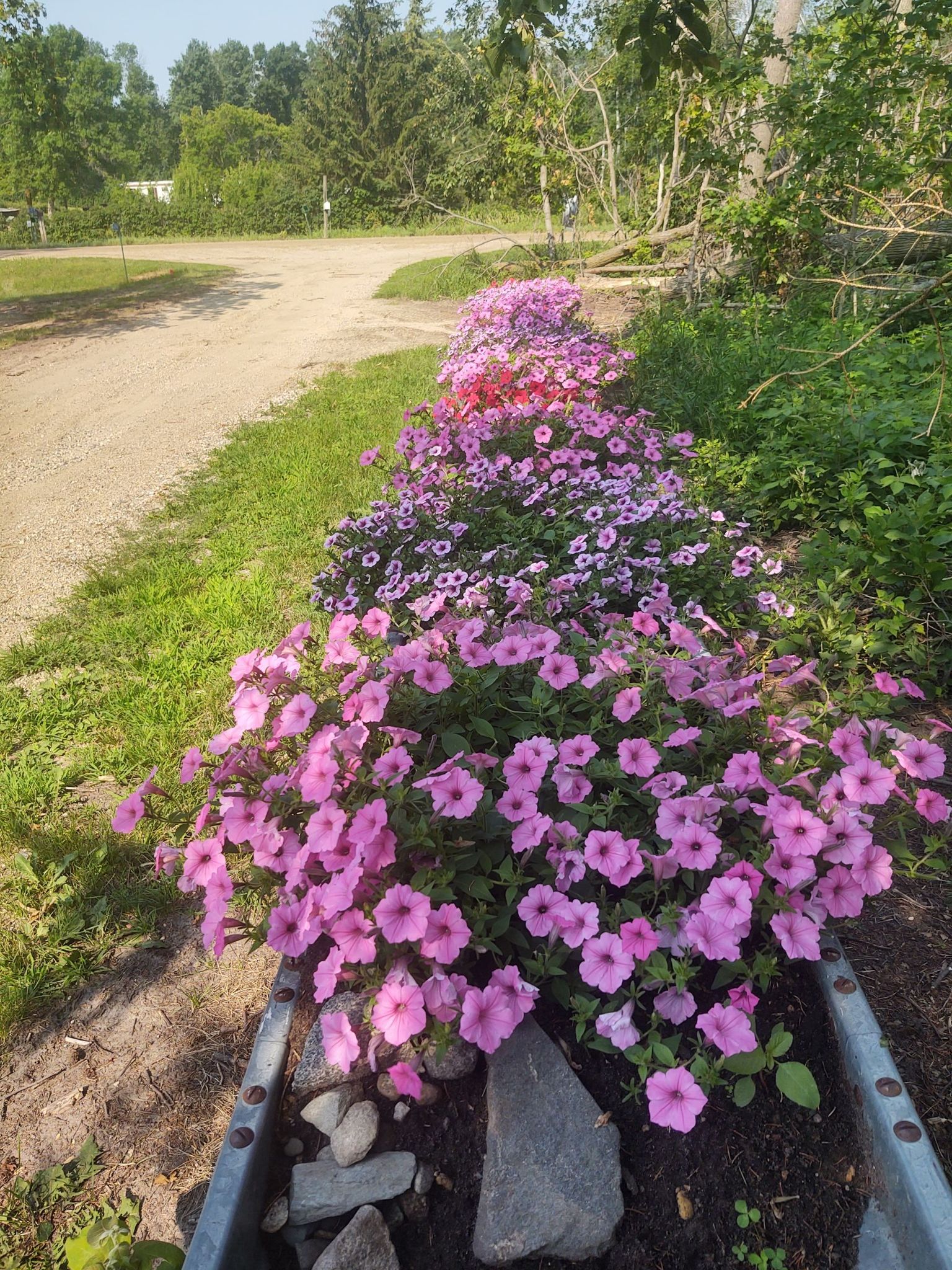 Cover photo for Lorraine H. Truax's Obituary
