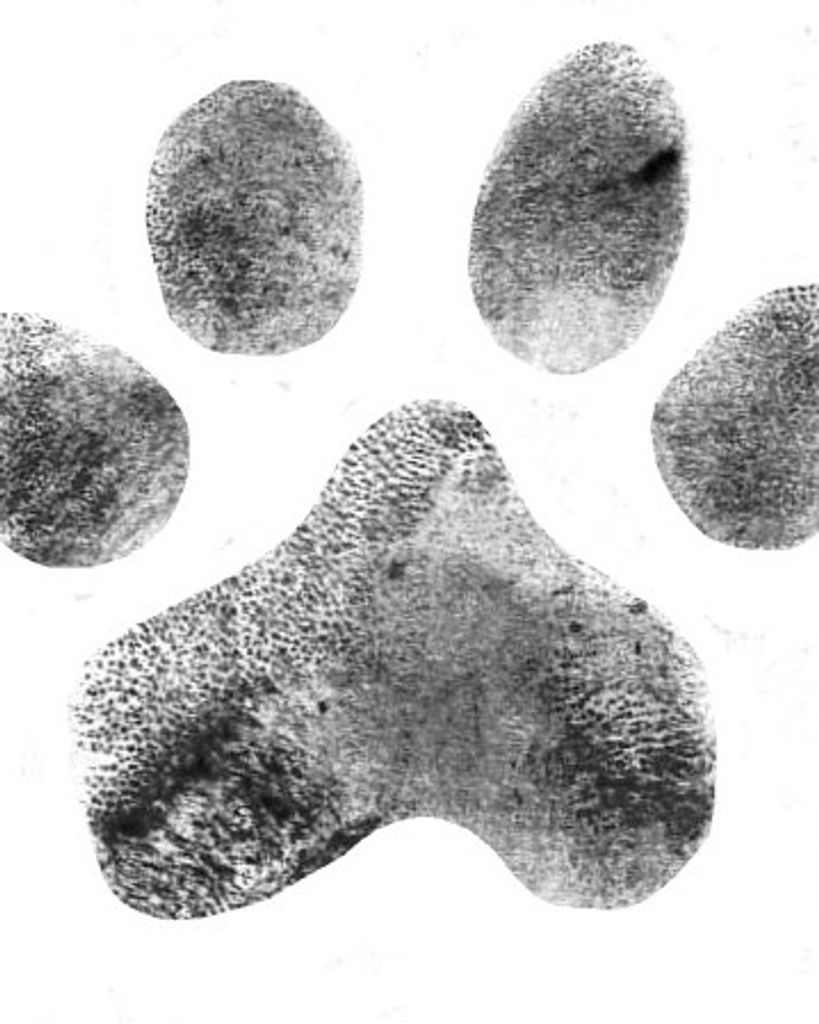 Chase Glover Profile Photo