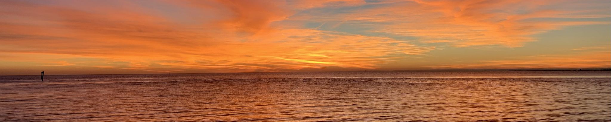 Cover for Jane Anne Brenden's Obituary