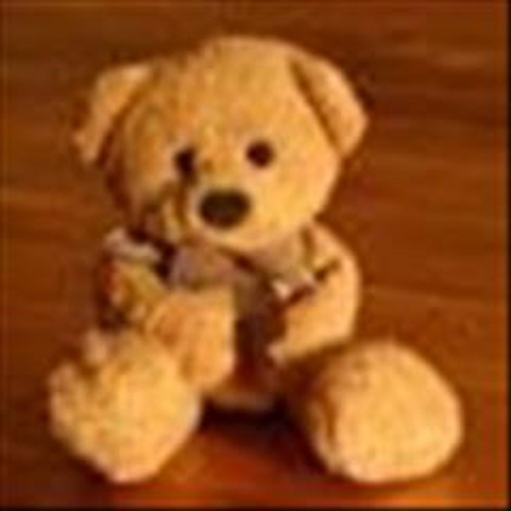 Kyler Michael Garroutte Profile Photo