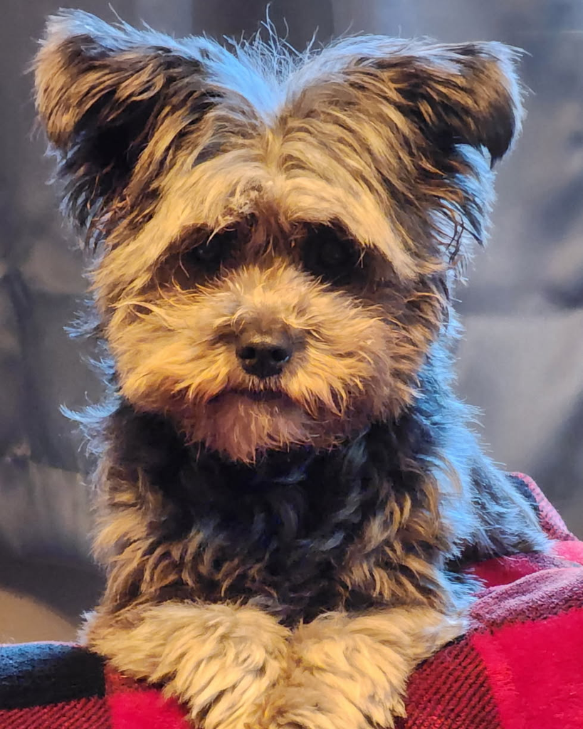 Toots Profile Photo