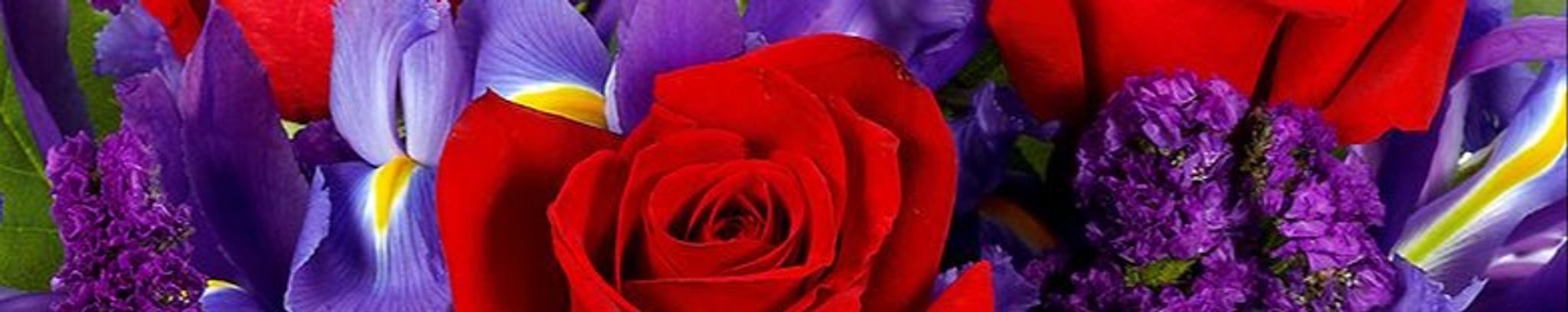 Cover photo for June Ann Hall's Obituary