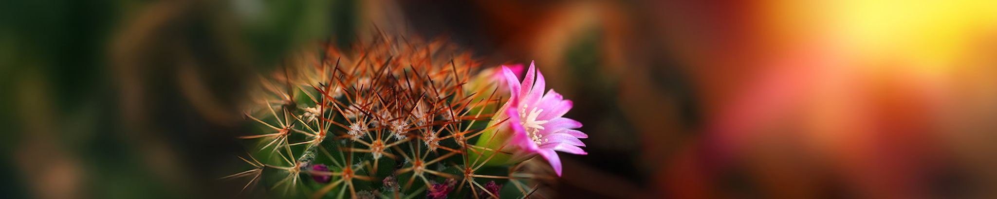 Cover photo for Brenda Lee Fleming's Obituary