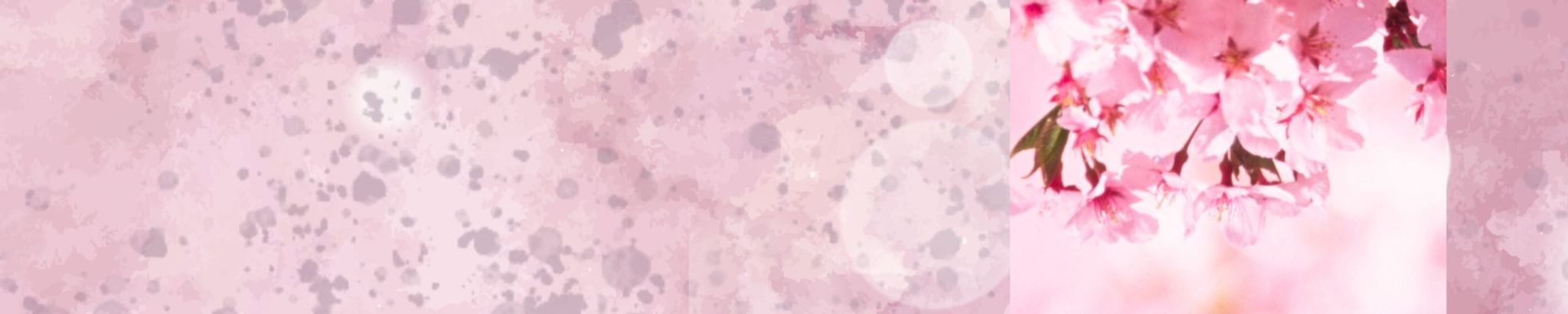 Cover photo for Taiko "Tai" Nees's Obituary