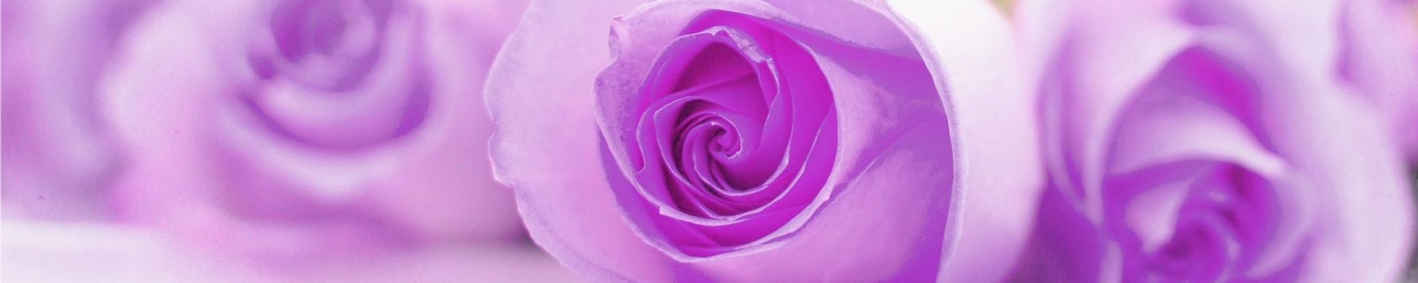 Cover for Kathleen Faye Reese's Obituary