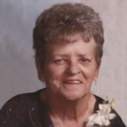 Carol J. Wolovlek Profile Photo