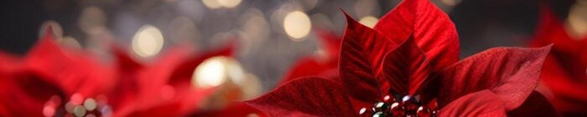 Cover for Linda "Karen" Jaggers's Obituary