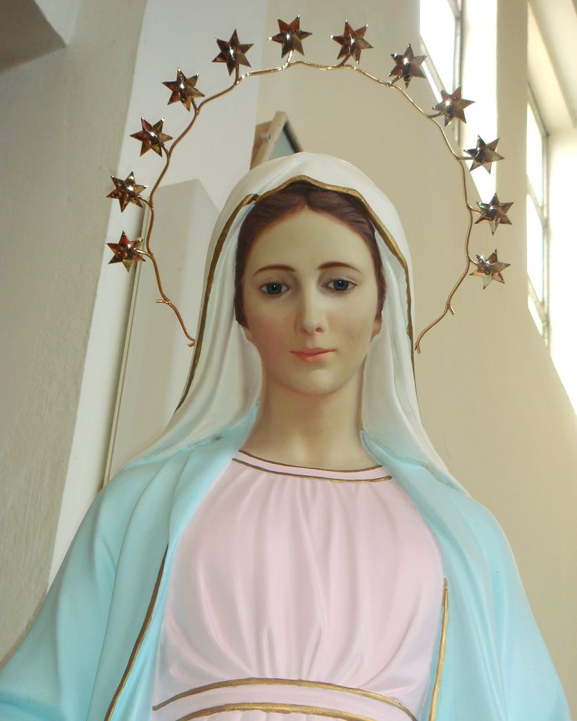 Zdravko Gagro Profile Photo