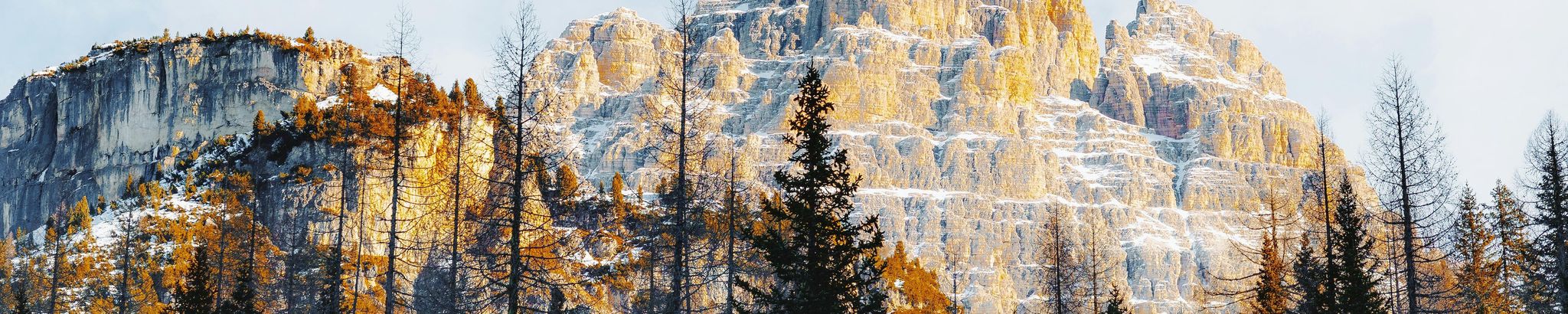 Cover for Roberta L Adams's Obituary