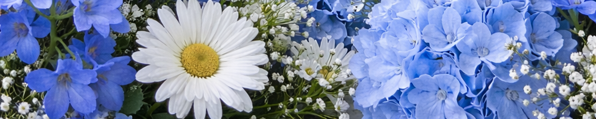 Cover for Jacinto Dealese Randle Morgan's Obituary