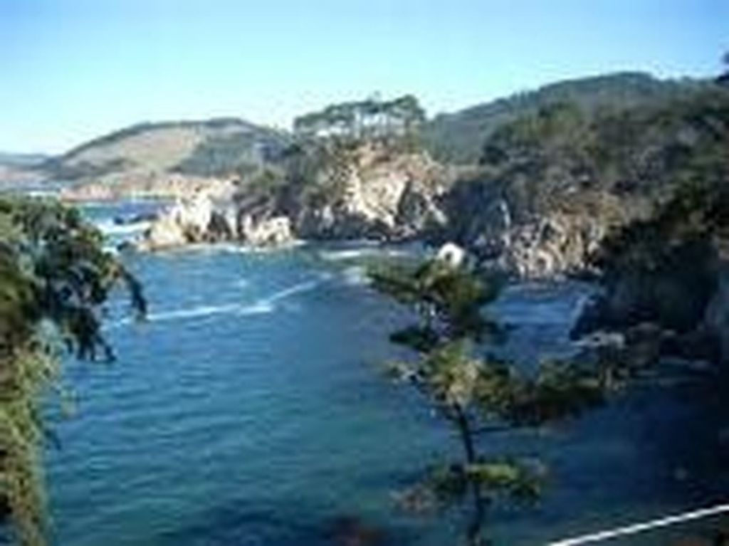 Luther "Luke" Davison Profile Photo