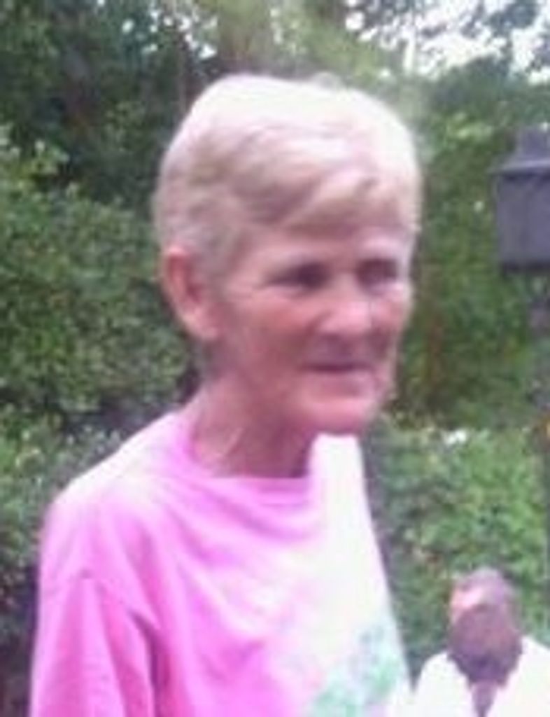 Dottie Ann Collins Profile Photo