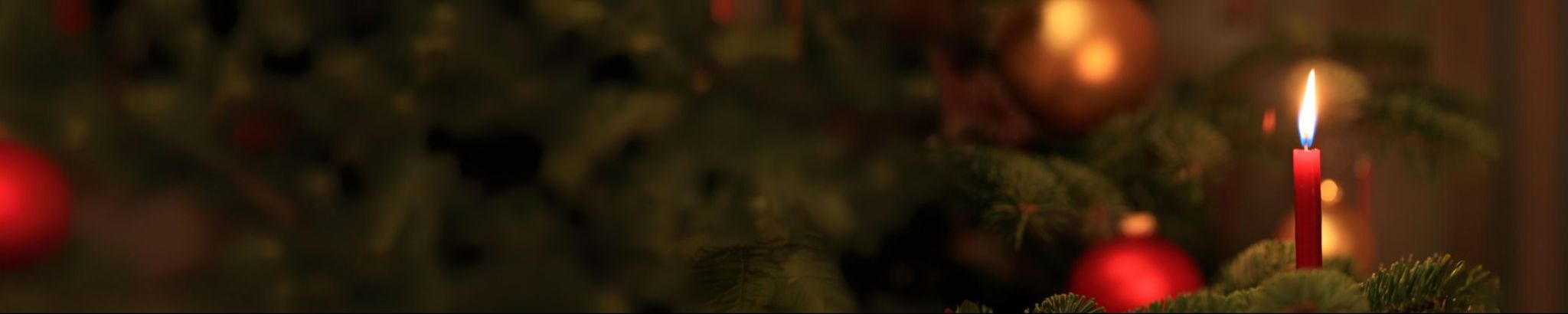Cover photo for Candlelight Remembrance's Obituary