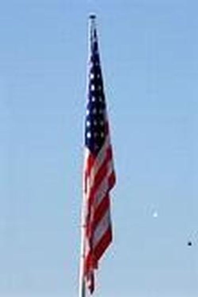 Fred A. Stiefvater Profile Photo