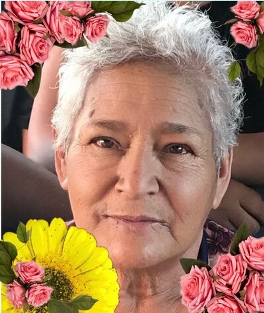 Maria Dominguez Loya Profile Photo