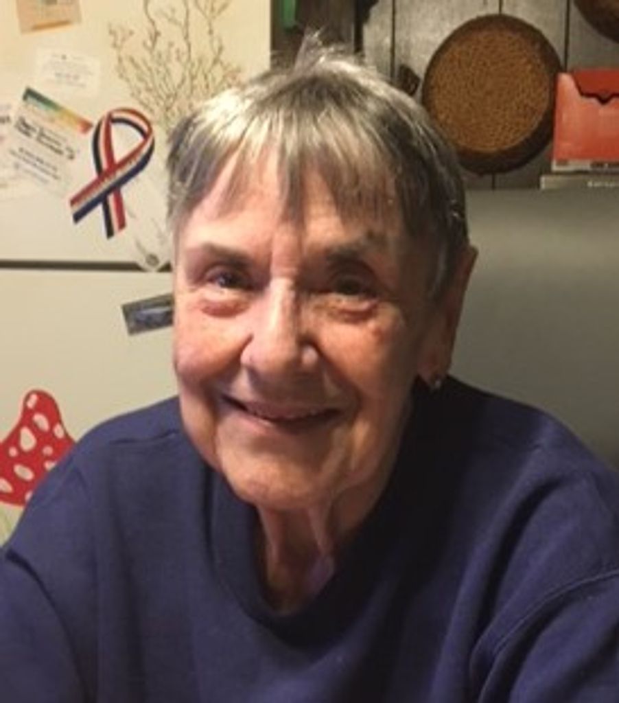 Ann Dryer