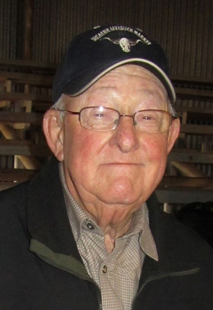 Raymond Lee Meadows