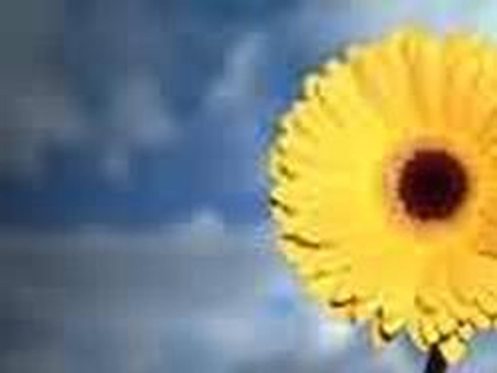 Tommasina Emma Perri