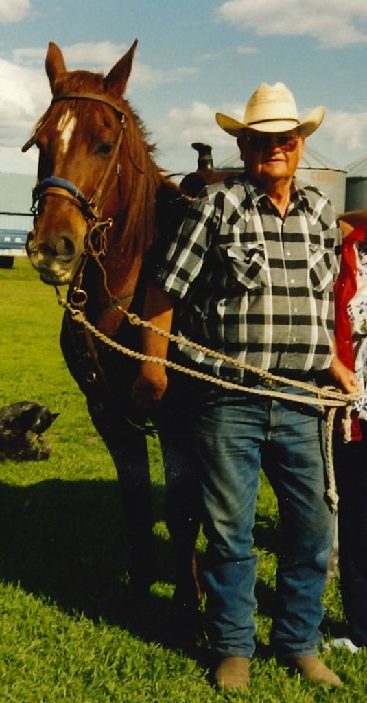 Donald N. Jenson